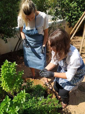 Greek Cooking Class gallery image 8