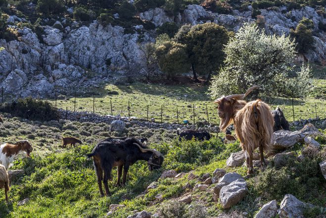 Wonders of Mainland Greece: Delphi & Meteora Tour gallery image 14