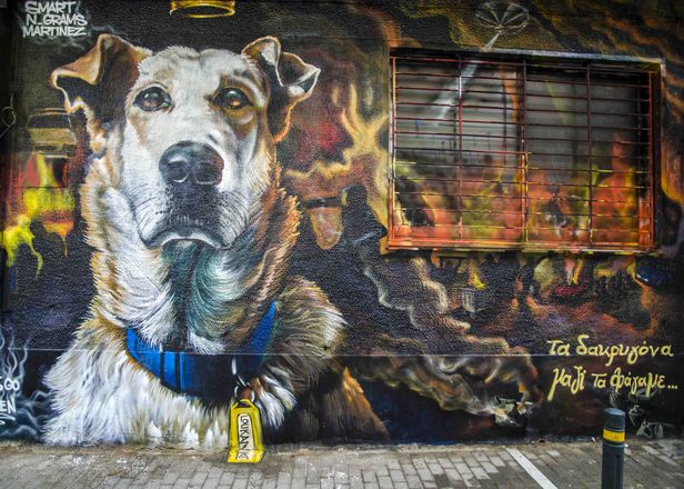 athens street art tour gallery image 4