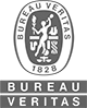 Veritas logo